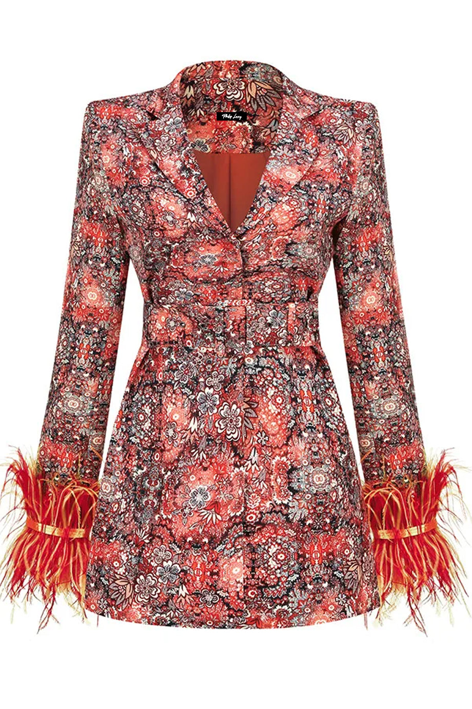 Rosmira Σακάκι Μίνι Φόρεμα | Σακάκια Φορέματα - Blazer Dresses | Rosmira Blazer Mini Dress with Feathers